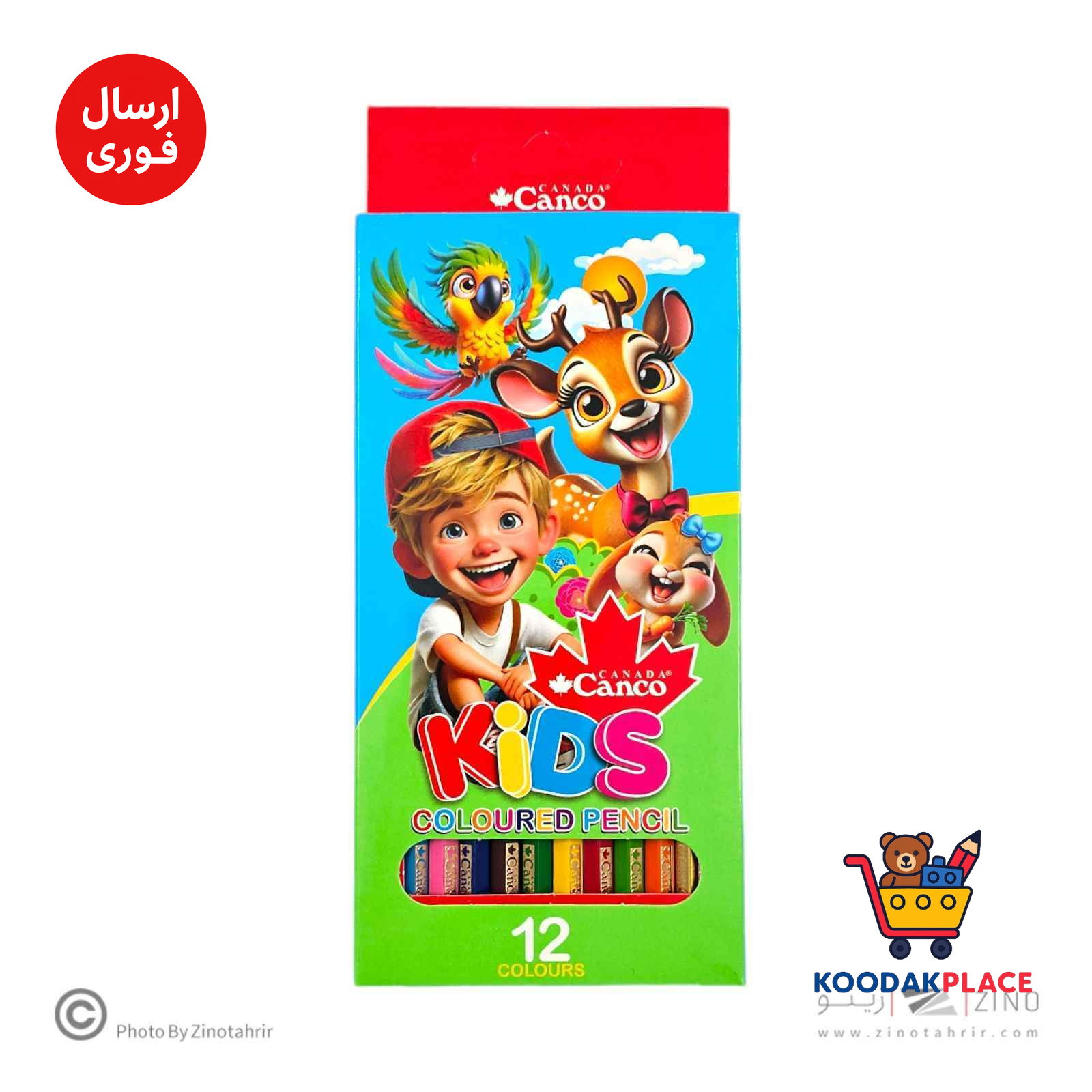 مدادرنگی12رنگ جعبه مقوایی کیدز ته صدفی کنکو